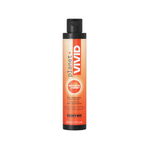 Planet Vivid - HALLEY'S COMET